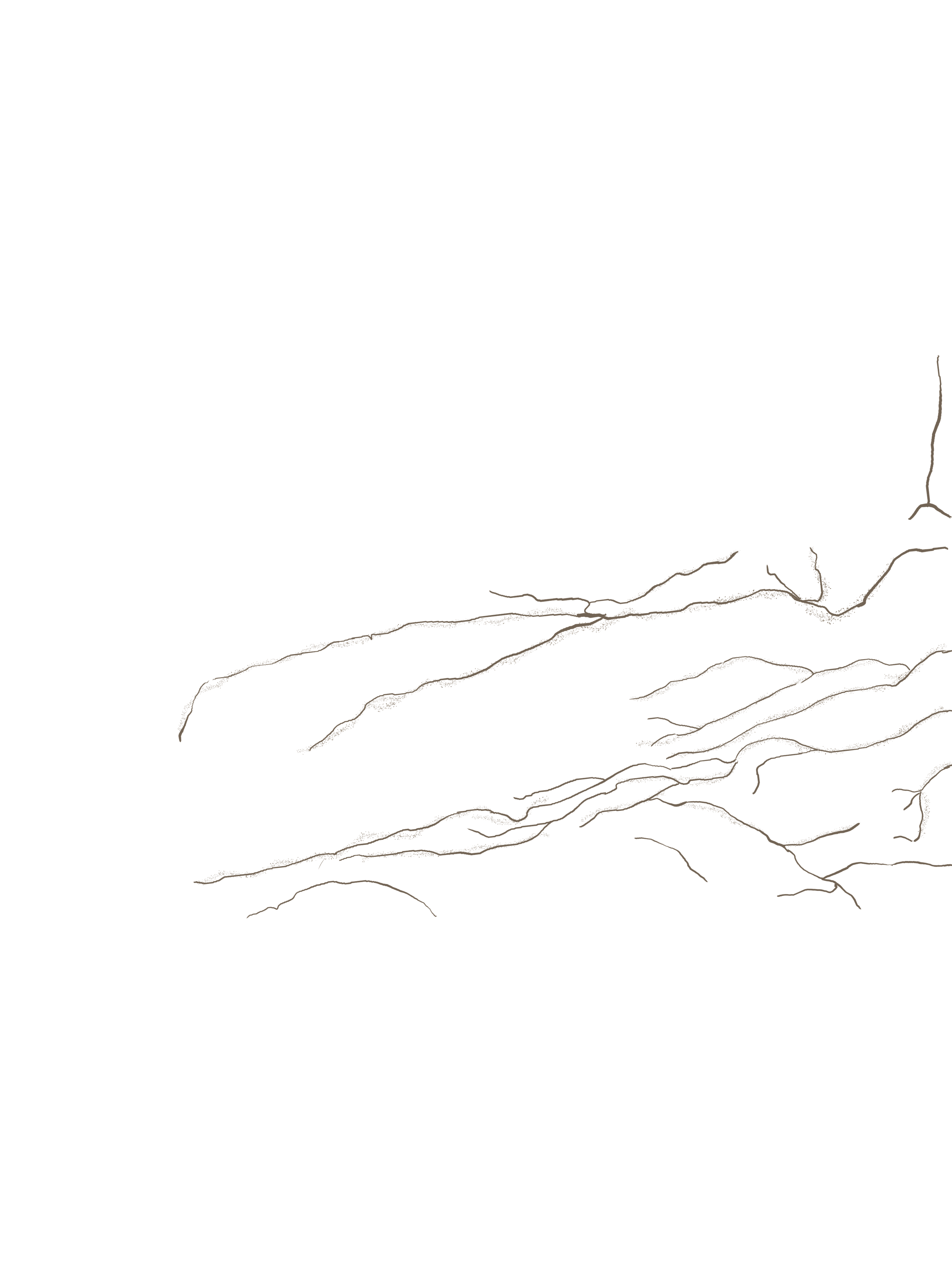 Artwork overlay