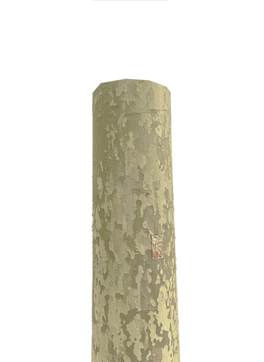Artwork overlay